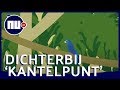 Wat zijn de gevolgen als het Amazonegebied verdwijnt? | NU.nl