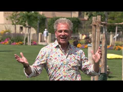 Christian Engel - Der Sommer, die Stadt und Du (offizielles Video)