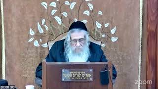 הרה"ג הרב וועכטר שליט"א כ"ח חשון תשפ"ו - מאמר הרבי הריי"צ תש"ח ד"ה ויחלם והנה סלם מוצב ארצה חלק ד (הרב אברהם מנחם מענדל וכטר) - התמונה מוצגת ישירות מתוך אתר האינטרנט יוטיוב. זכויות היוצרים בתמונה שייכות ליוצרה. קישור קרדיט למקור התוכן נמצא בתוך דף הסרטון