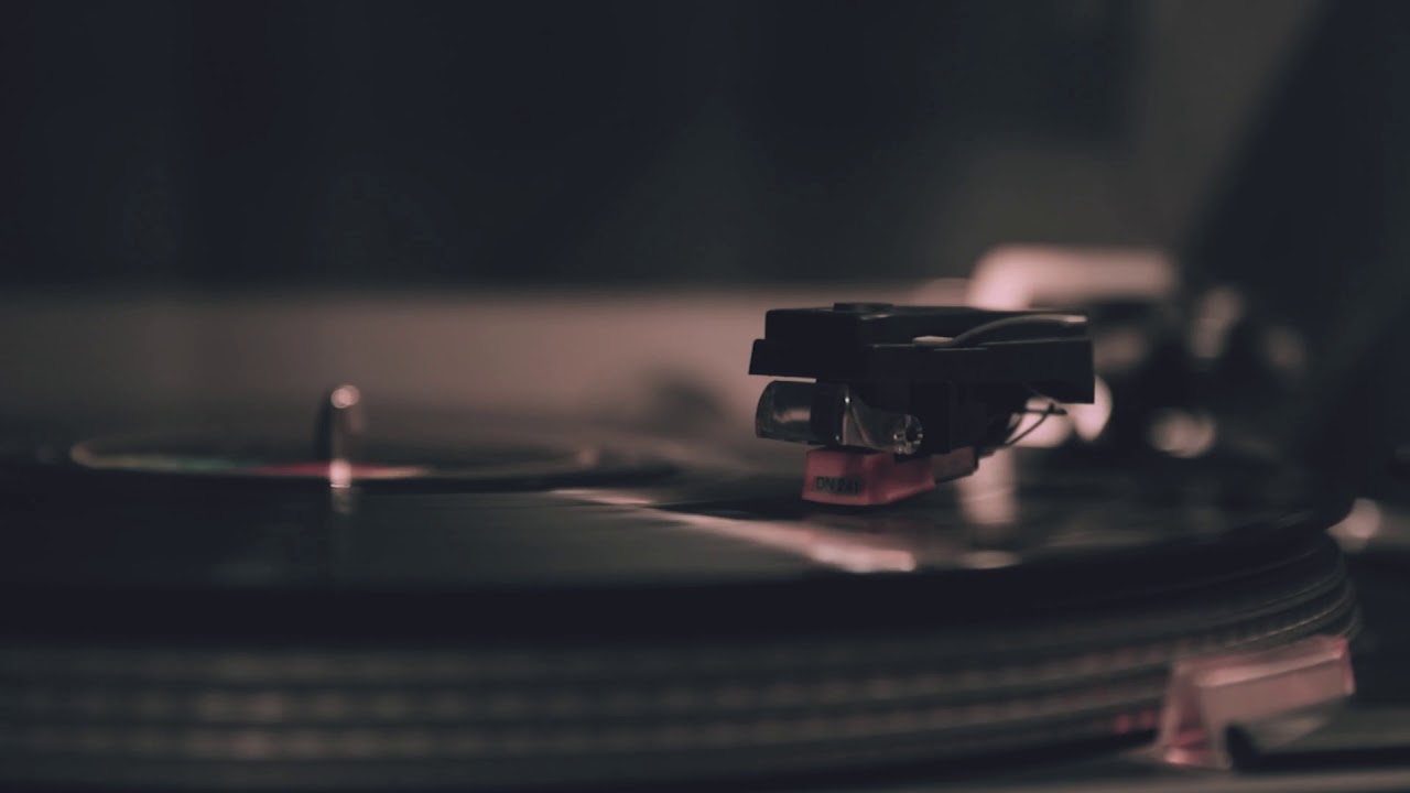 Lourdes Duñó Ambrós-5