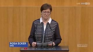 Rosa Ecker - Nationaler Aktionsplan gegen Gewalt an Frauen - 26.3.2026