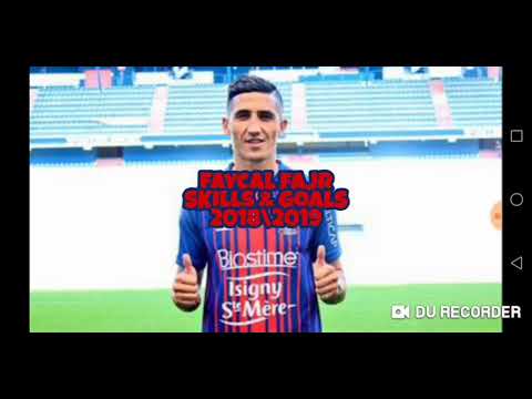Faycal Fajr Skills & Goals 2018/2019