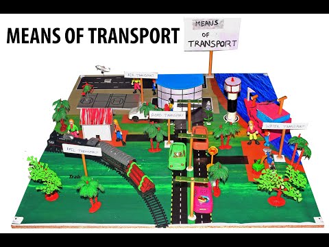 Means Of Transport Model