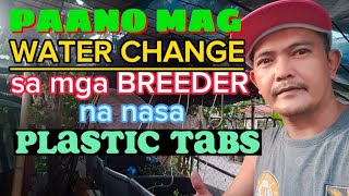 PAANO MAG WATER CHANGE SA MGA BREEDERS NA NASA PLASTIC TABS / 30% TO 50% WATER CHANGE