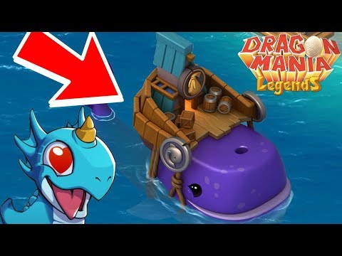 NEW WHALE SHOP?! New Update Coming NEXT WEEK? (Possibly) - DML #820