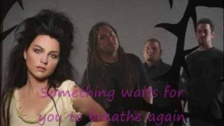 Imaginary (Origin version) w/lyrics-Evanescence