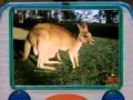 Barney Friends At Home In The Park Season 8 Episode 20