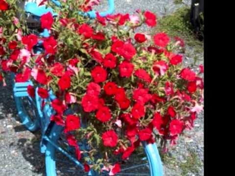 Relax to the Bible - Psalm 62