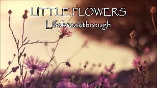 Little Flowers - The Most Beautiful Christian Inspirational Song by Lifebreakthrough