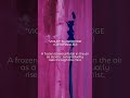 Boxedge - Violet |  A frozen blues unfolds in the air.