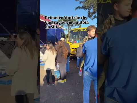 Mutirão de Castração em Lindóia do Sul