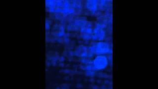 Noah and the Whale - All Through The Night BBC Radio 1