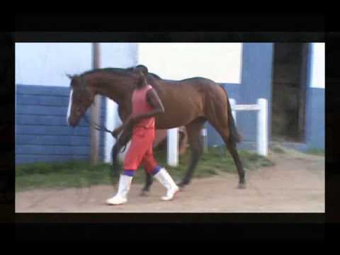 09Milla by Greys Inn (USA)