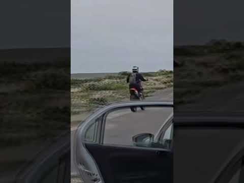 Motoqueros dañaron desierto florido en la costa de Huasco, en Atacama