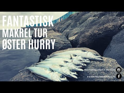Makrelfiskeri i Øster Hurup