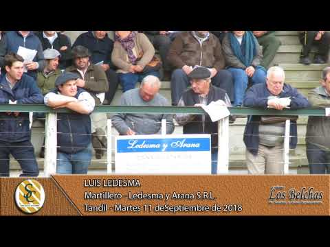 11-09-18 Nota Luis Ledesma - Martillero - Cab. Los Belchas de J. y C. Eyharabide - Tandil
