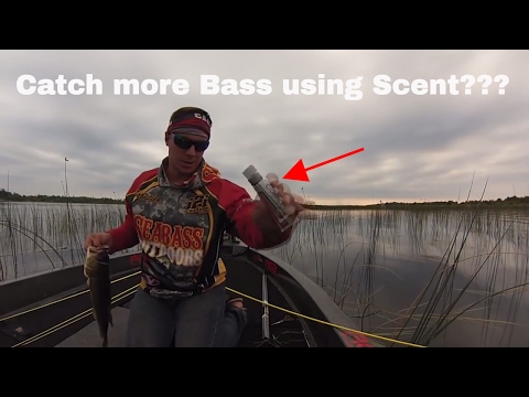 Tips on how to catch bass on High Vis braided line and Scent.