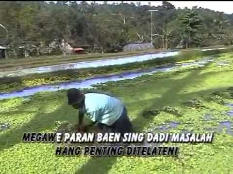 Catur Arum  Adistya - Tandang Gawe