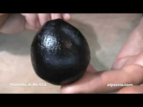 pipa Fiamma di Re 024 - smoking pipe