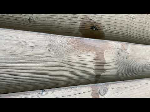 Log Cabin Decimated by Carpenter Bees in Ocean Township, NJ