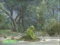 Sesame Street Kermit Sings On My Pond
