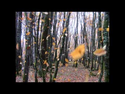 Charly Efe feat. Karim + Manu + Kamus - AIRE [Prod. SD BeatKongs]