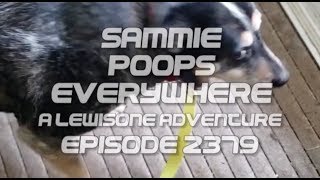Sammie Poops Everywhere Episode 2379 - Son takes out Service Animal to