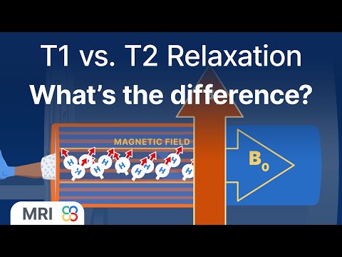 What’s the difference between T1 and T2 relaxation? - MRI physics explained