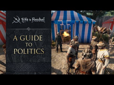 Expand Your Influence - A Guide to Politics 