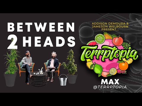Between2Heads - Episode 9: Max of Terrptopia