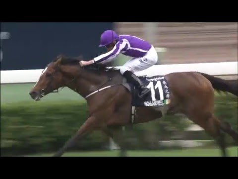 [HKIR 2015] HIGHLAND REEL wins the LONGINES Hong Kong Vase 2015