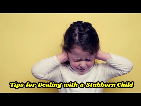 Tips for Dealing with a Stubborn Child