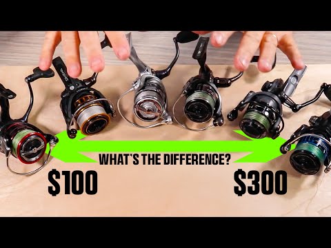 Best Inshore Saltwater Reel For You: $100 vs $200 vs $300 Breakdown