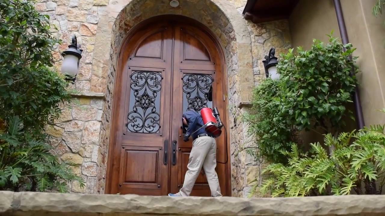Termite Spraying