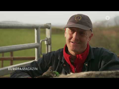 Europamagazin: Großbritannien - Weniger Subventionen, mehr Steuern – Farmer in Not 24.11.2024