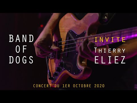 Band of Dogs Invite Thierry Eliez - La VOD du Triton