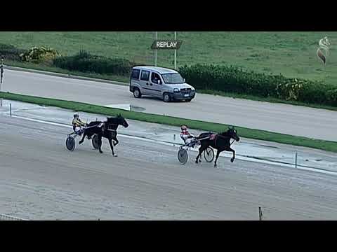 Aversa trotto 9 Dicembre 2020 - 2° Corsa