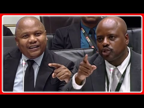 MP Nqola Questions Julius Mkhwanazi “Is Cat Vusimuzi Matlala Your Friend And Brother”