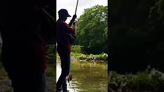 Download lagu mancing ikan nilem di saat air keruh mp3