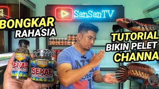 Download lagu BONGKAR RAHASIA‼️CARA BIKIN PELET IKAN CHANNA-pelet sekar mp3