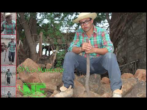 Nilton Fernandes (NF) - Só ku Maricano