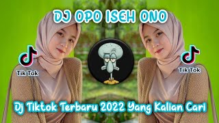 Download lagu DJ OPO ISEH ONO DJ VIRAL TIKTOK TERBARU 2022 YANG KALIAN CARI mp3