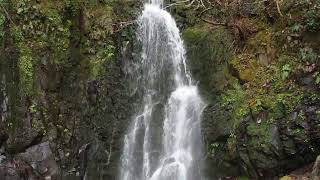 九州 天狗の滝