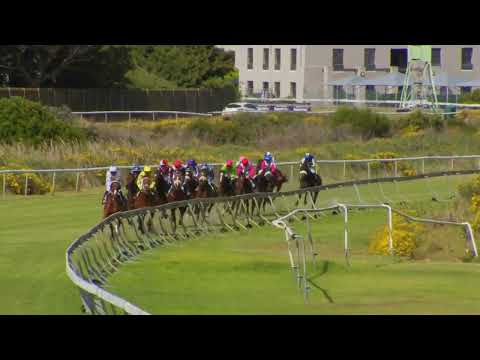 HAPPY CHANCE - RACE 6 #HollywoodBetsKenilworth 16-11-2022