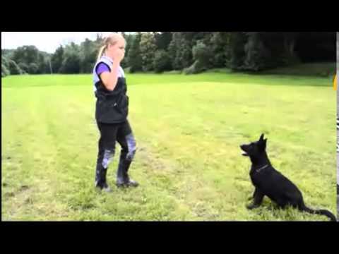 Quick ze Stříbrného kamene