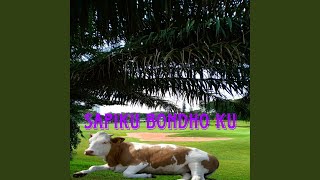 Download lagu Sapiku Bondho Ku mp3