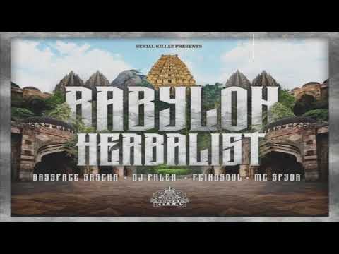 Bassface Sascha & DJ Phlex - Babylon Herbalist