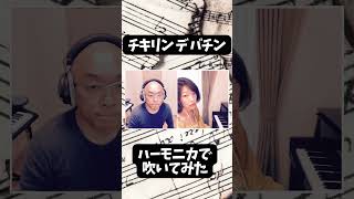 Download lagu ピアソラのチキリンデバチンをハーモニカで吹いてみた #short #リモートコラボ mp3