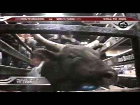 Mudslinger bucks Brian Herman - 05 PBR Reno