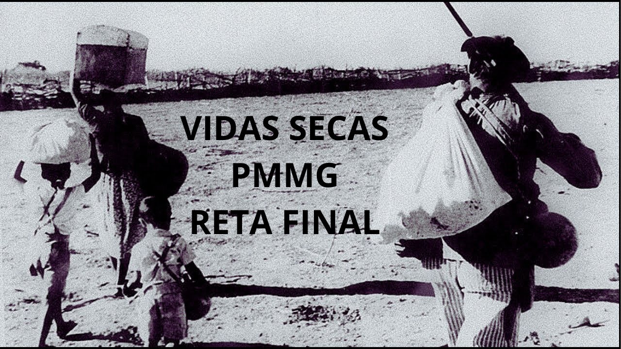 RETA FINAL PMMG - VIDAS SECAS  SÓ QUESTÕES